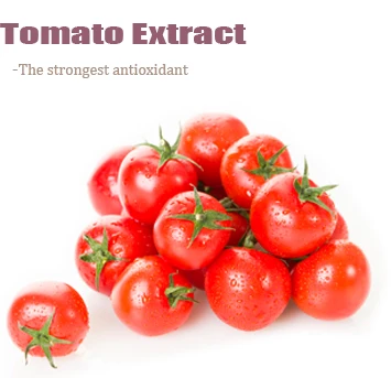 Anti-aging Tomato Lycopene HPLC Tomato Extract Lycopene Powder Price